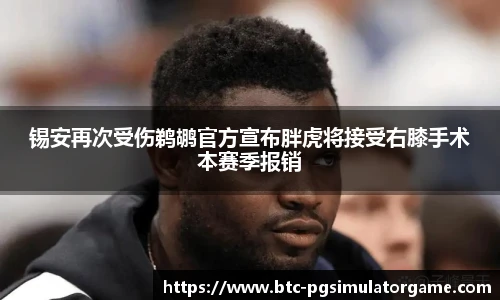 PG模拟器官网